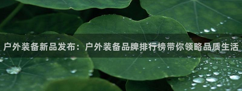 新宝gg网址