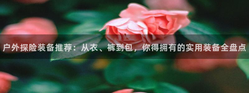 重庆新宝gg