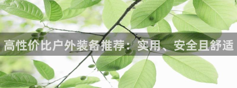 新宝gg注册q 26880