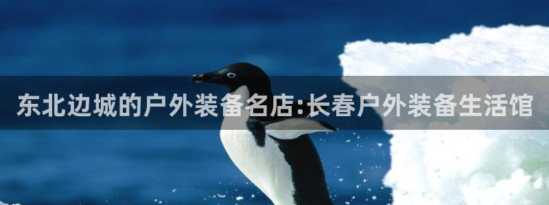 正版新宝gg