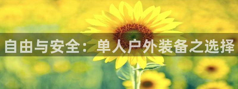 新宝gg是在境外吗