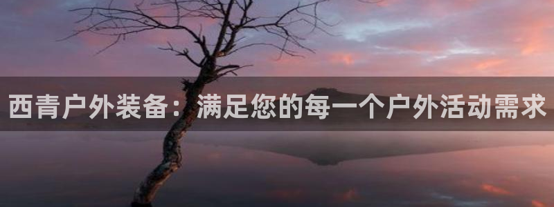 新宝gg在哪开户