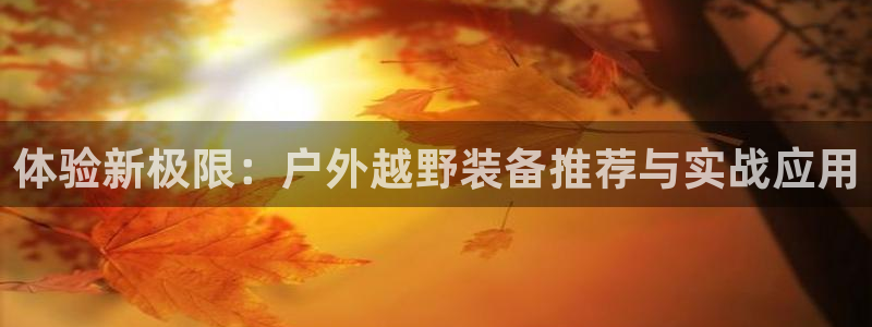 新宝gg平台登录 新宝GG