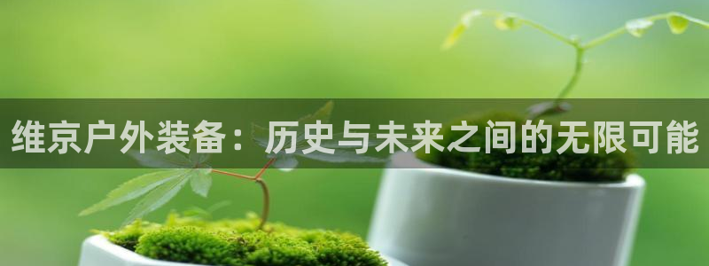 新宝gg平台首页