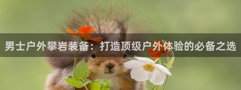 新宝gg如何赚钱