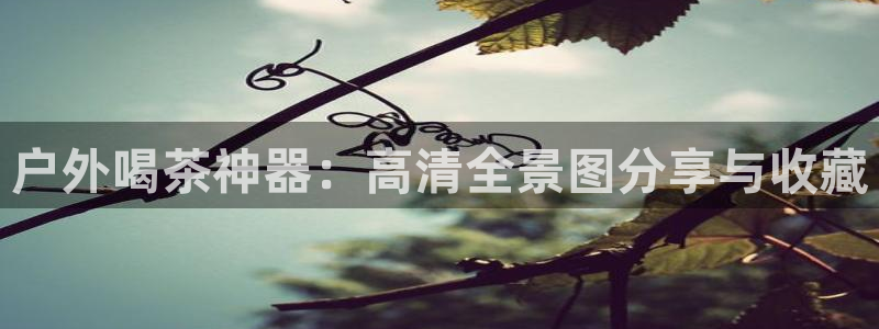 新宝gg主管都是谁