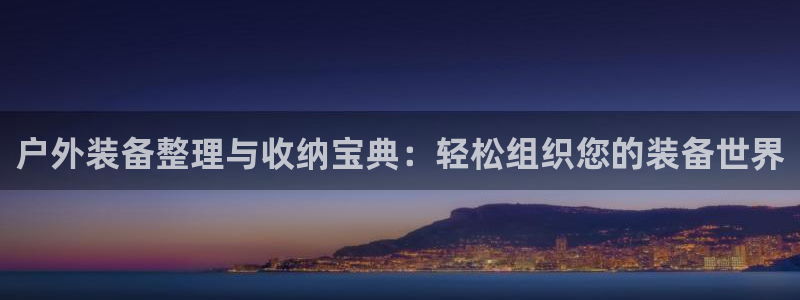 广东新宝电器gg