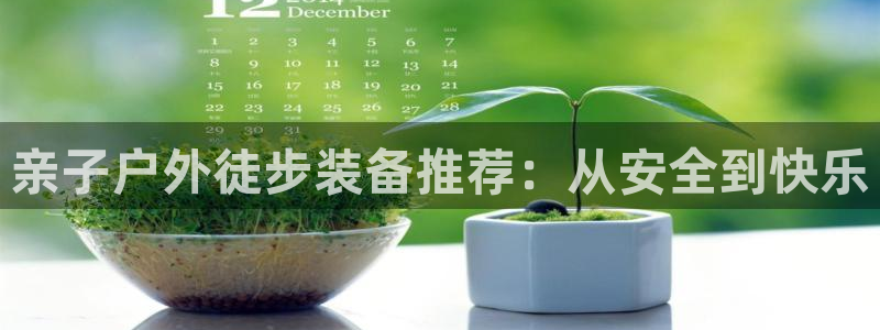 新宝gg最新章节