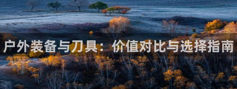 新宝gg创造奇迹