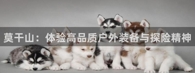 新宝GG娱乐-上皇巢网