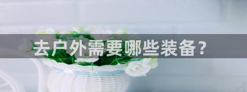 新宝gg平台怎么样