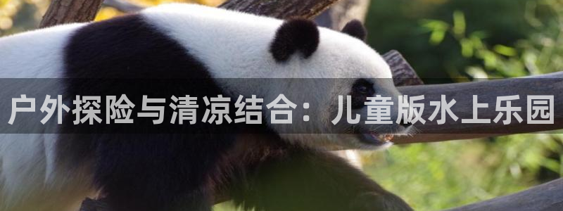 新宝GG娱乐-上皇巢网