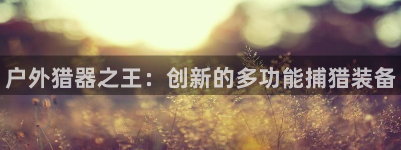 怎么代理新宝gg